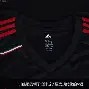 ayx-包含AC米兰新赛季展望：力争挑战豪门的词条