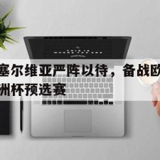 AYX爱游戏中国-塞尔维亚严阵以待，备战欧洲杯预选赛()