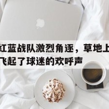 lovegame-红蓝战队激烈角逐，草地上飞起了球迷的欢呼声()